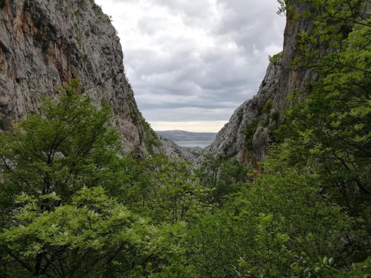 Green Point Paklenica Starigrad Paklenica Exteriör bild